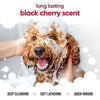Buddycare Dog Shampoo - Black Cherry - 5L / 1.32 Gal