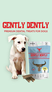 Gently Dently- Chicken Dental Treats for Dogs Gently Dently- Chicken Dental Treats for Dogs