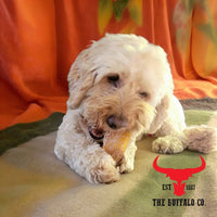 Buffalo Paddywack-Dog Treats-100g Buffalo Paddywack-Dog Treats-100g