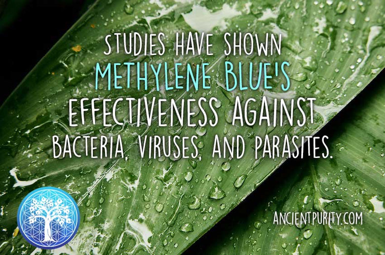 Methylene Blue - 100ml | 1% Solution | 99.99% Pure USP Grade