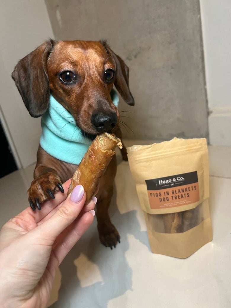 Pigs In Blankets Dog Treat Bag - 75g