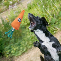 Green & Wilds Eco Dog Toy - Candice the Carrot Green & Wilds Eco Dog Toy - Candice the Carrot