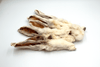 Mozzy’s Rabbit Ears with Fur