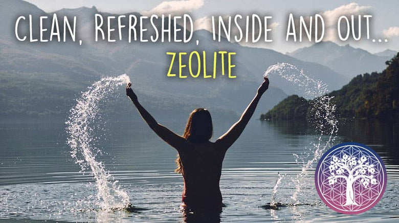 Zeolite Powder - 350g (< 25 Microns) HM Detox Cleanse