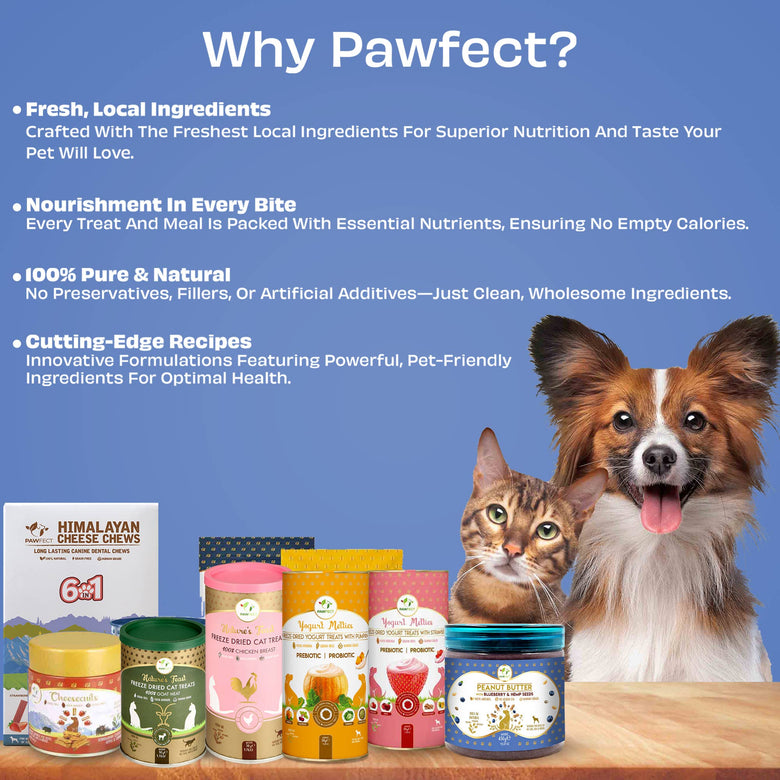 Pawfect Peanut Butter for Dogs: Blueberry & Hempseeds