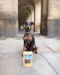 Venison Dog Treats Venison Dog Treats