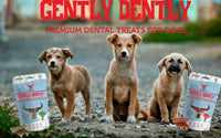 Gently Dently- Salmon Dental Treats for Dogs Gently Dently- Salmon Dental Treats for Dogs