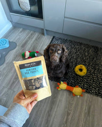 Venison Dog Treats Venison Dog Treats