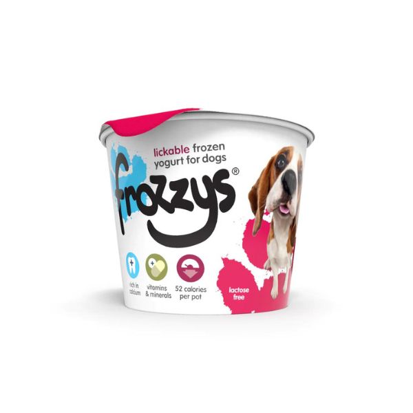 Frozzys Frozen Yoghurt Treat