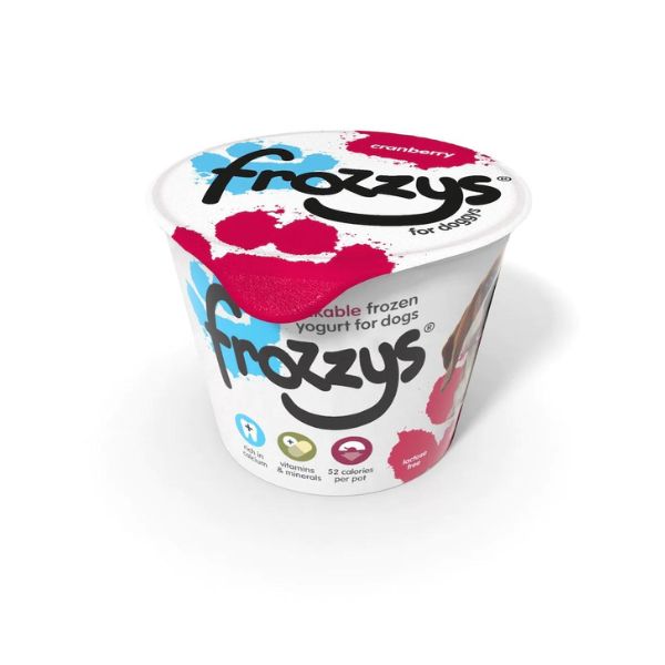 Frozzys Frozen Yoghurt Treat