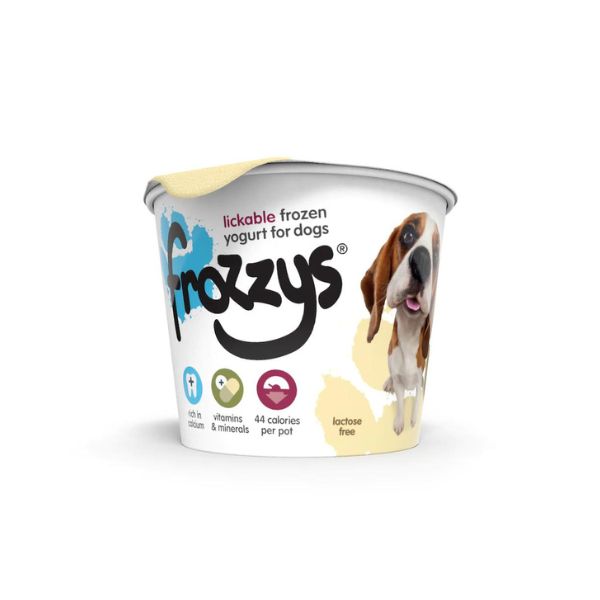 Frozzys Frozen Yoghurt Treat
