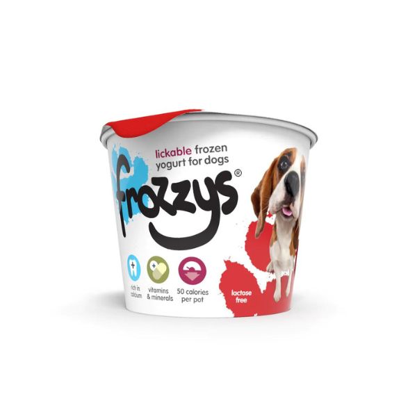 Frozzys Frozen Yoghurt Treat