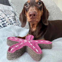 Green & Wilds Eco Dog Toy - Stanley the Starfish Green & Wilds Eco Dog Toy - Stanley the Starfish