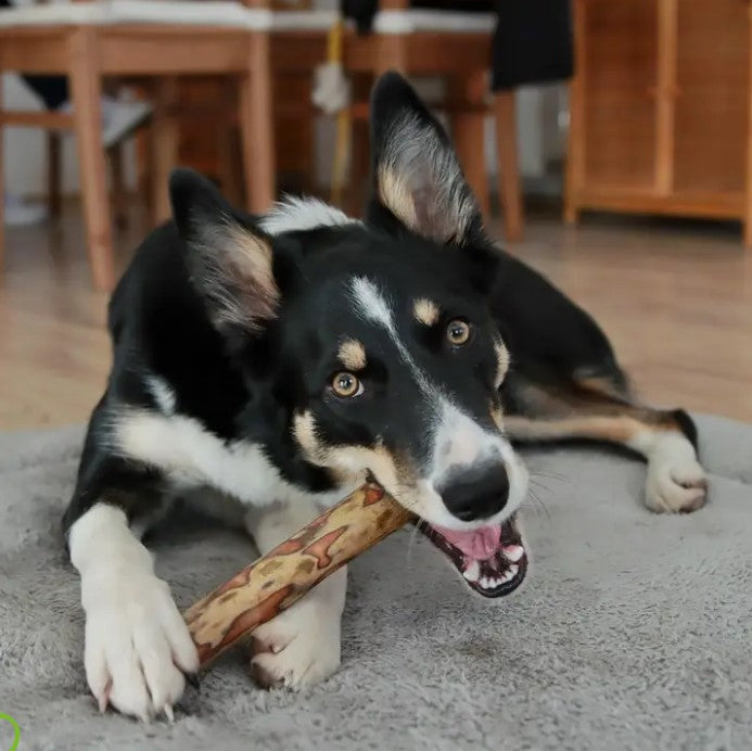 Green & Wilds Olivewood Natural Chew