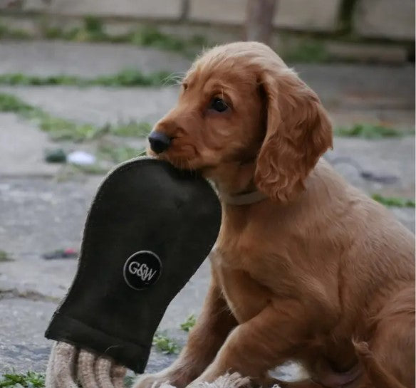 Green & Wilds Eco Dog Toy - Olive The Octopus