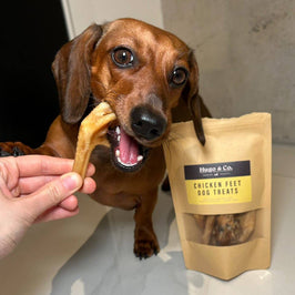 Chicken Feet Dog Treats