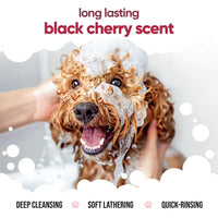 Buddycare Dog Shampoo - Black Cherry - 5L / 1.32 Gal