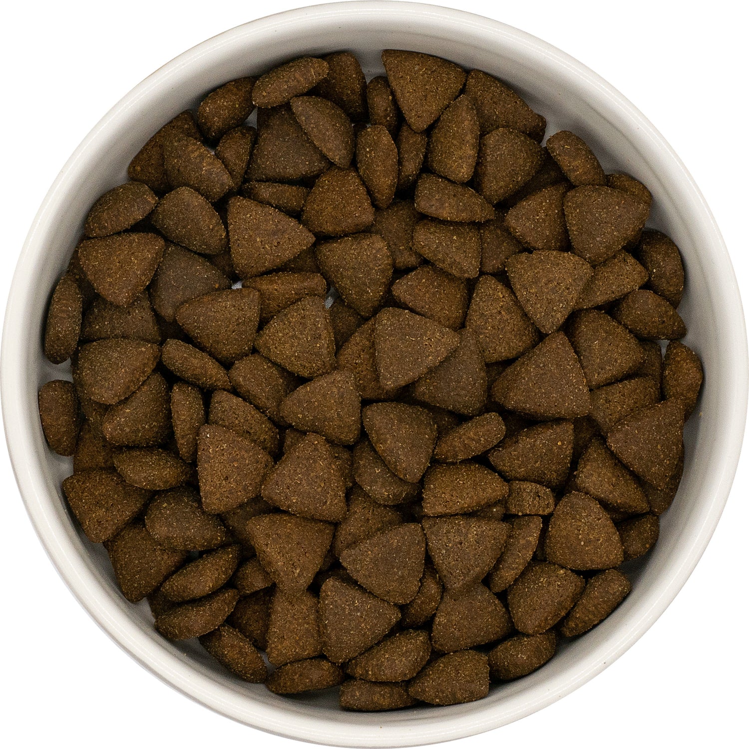 High protein small breed dog food top