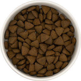 Wild West Pet Superfood High Protein Puppy Dog Food - Salmon