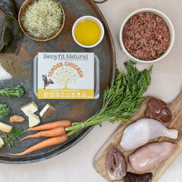 Benyfit Natural Tender Chicken Complete Adult Raw Working Dog Food