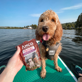 Anco Venison Infused Beef Treats - 100g
