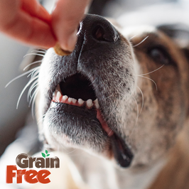 Wild West Pet Grain Free Adult Dog Dry Food - Tuna