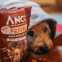 Anco Duck Infused Beef Treats - 100g
