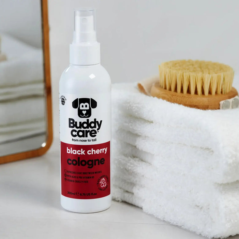 Buddycare Dog Cologne - Black Cherry - 200ml / 6.76 fl oz
