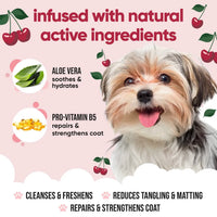 Buddycare Dog Shampoo - Black Cherry - 5L / 1.32 Gal